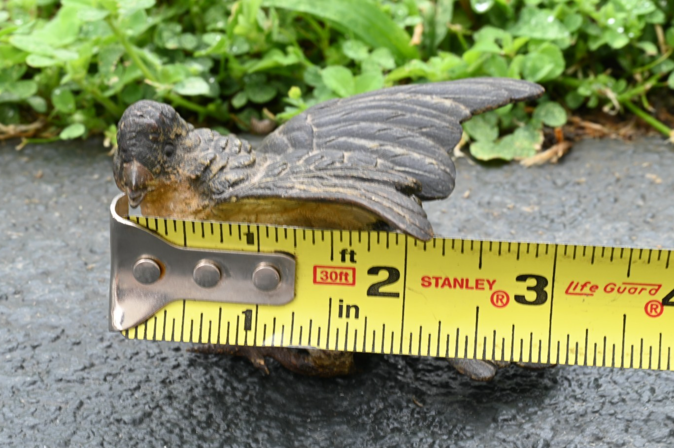 Detailed Antique Austrian Vienna Cold Painted Bronze Figure of Cuckoo Bird13