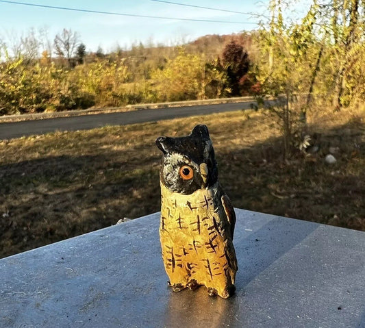 Amazing Antique Austrian Vienna Cold Painted Bronze Figure of Owl1