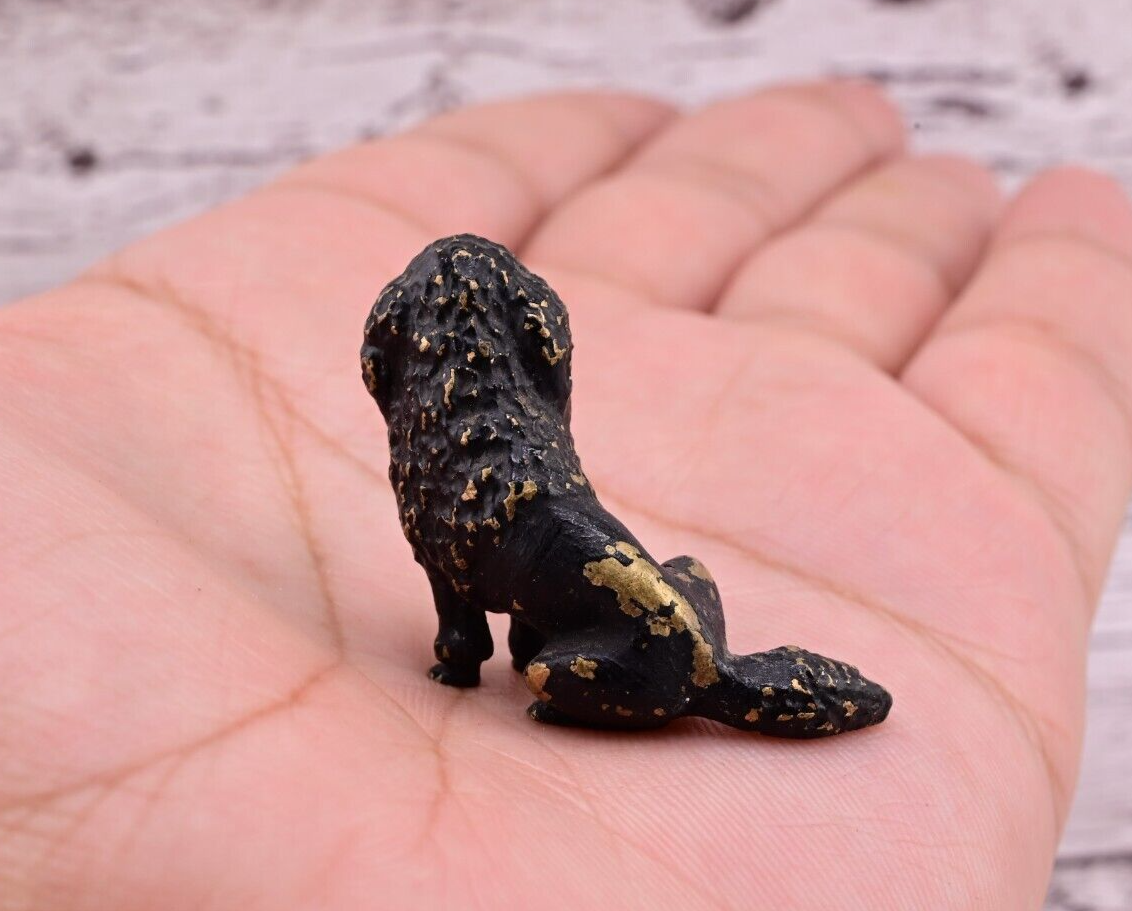 Antique Austrian Vienna Cold Painted Bronze Figure of Small Black Poodle10