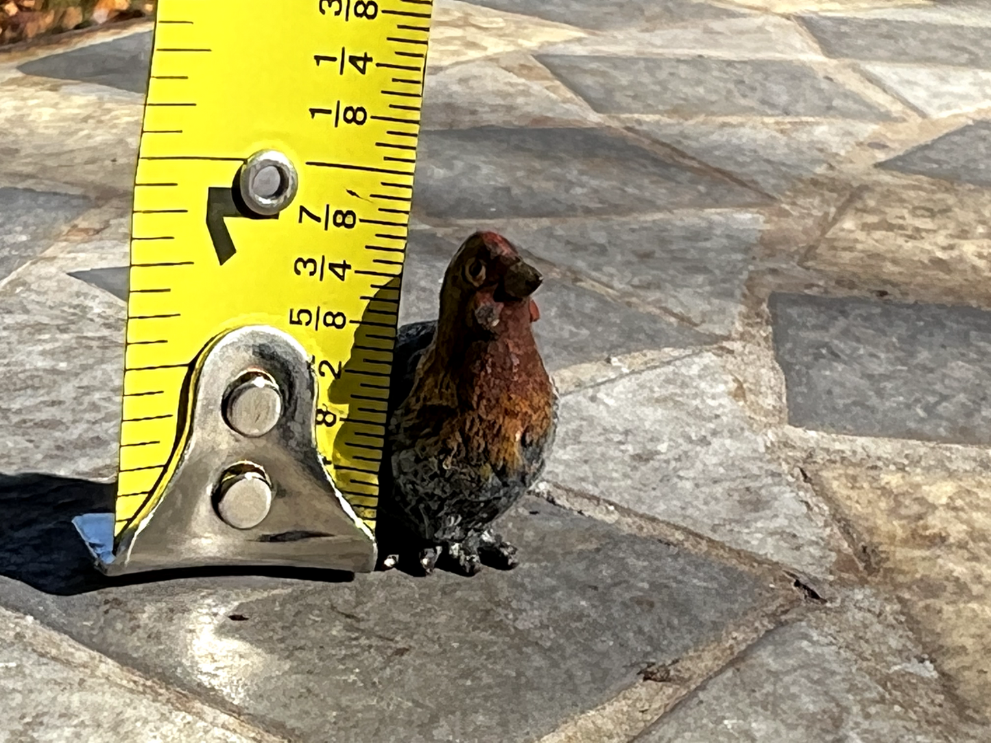 Beautiful Antique Austrian Vienna Cold Painted Bronze Figure of Small Farm Hen6