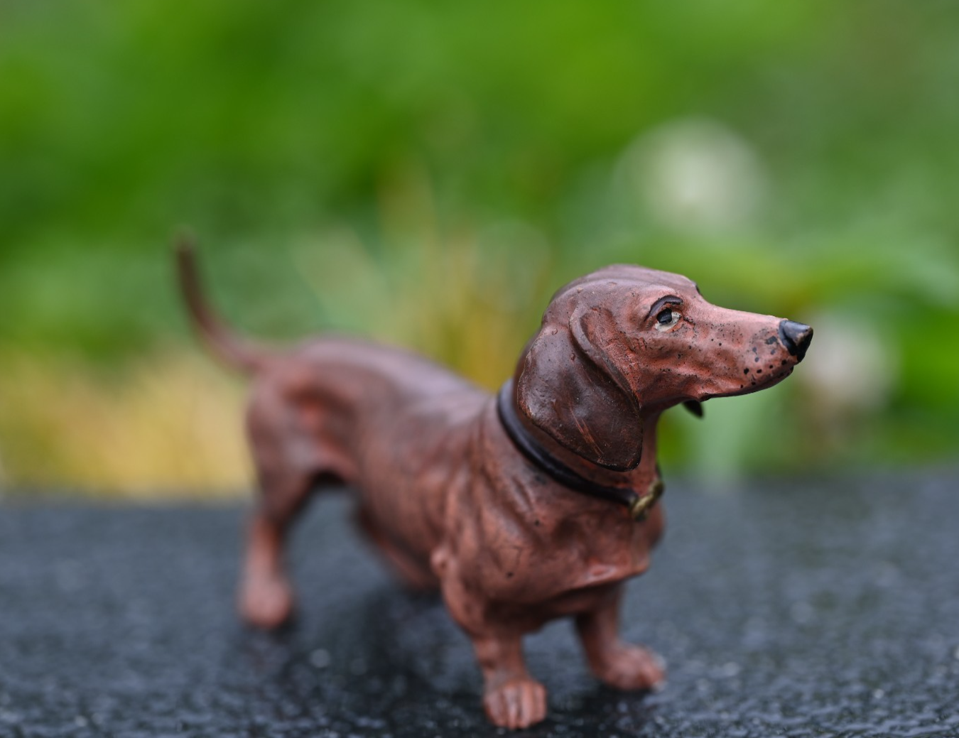Lovely Austrian Vienna Cold Painted Bronze Figure of Dachshund Dog 5 1/2 Inches3