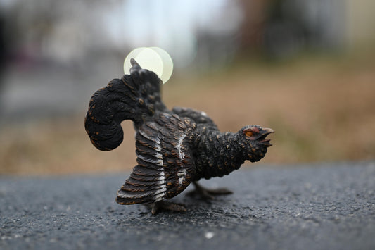Extremely Detail Antique Cold Painted Austrian Vienna Bronze of a Wild Turkey1