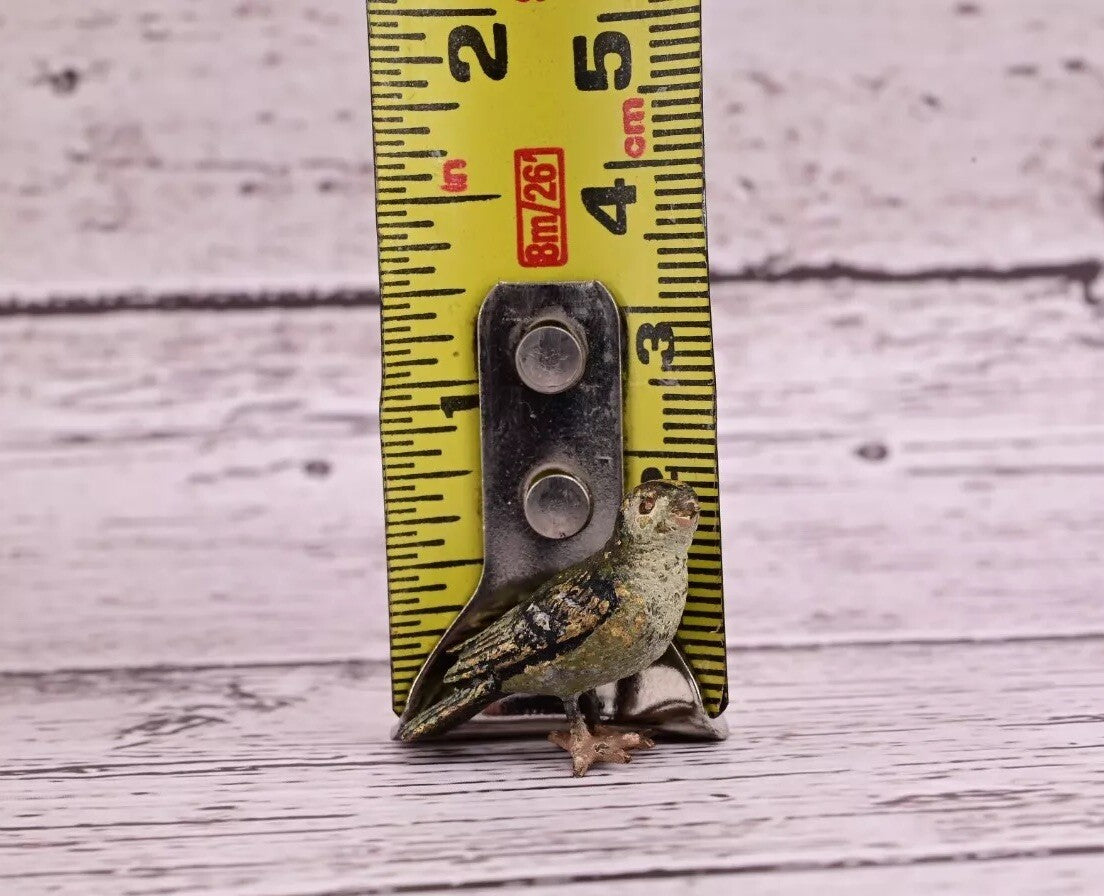 Lovely Antique Austrian Vienna Cold Painted Bronze Figure of Small Green Bird8
