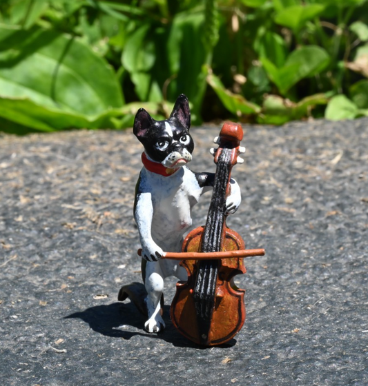 Austrian Vienna Cold Painted Bronze Figure of Boston Terrier Playing Cello /Bass1