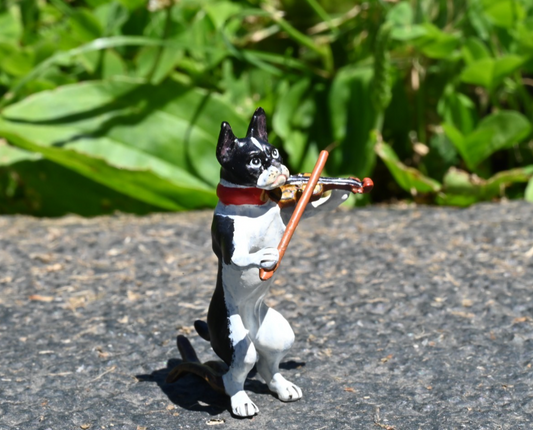 Cute Austrian Vienna Cold Painted Bronze Figure of Boston Terrier Playing Violin1