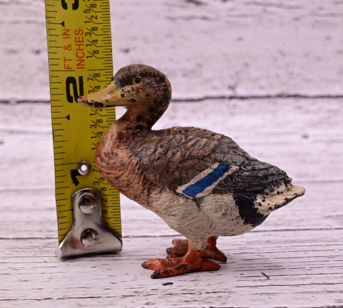 Gorgeous Antique Austrian Vienna Cold Painted Bronze Figure of Mallard Duck9