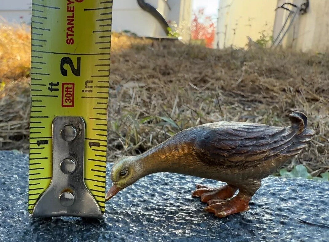 Awesome Antique Austrian Vienna Cold Painted Bronze Figure of Duck3
