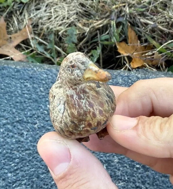 Antique Austrian Vienna Cold Painted Bronze Figure of Miniature Duck5