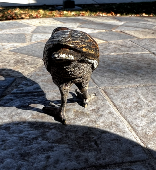 Antique Austrian Vienna Cold Painted Bronze Figure of Eurasian Woodcock1