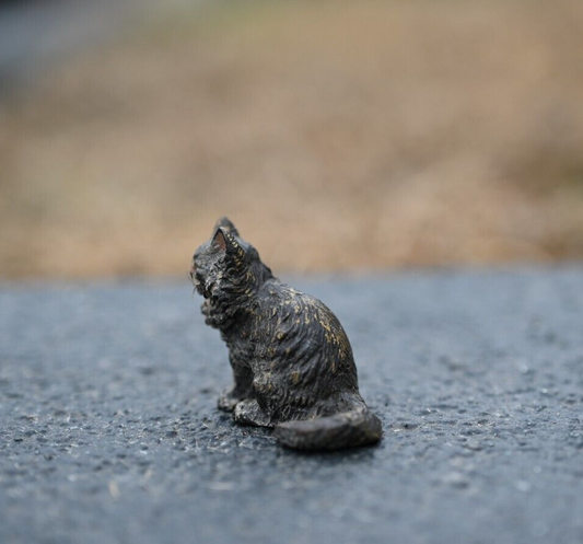 Serious Faced Antique Austrian Vienna Cold Painted Bronze Figure of Small Cat1