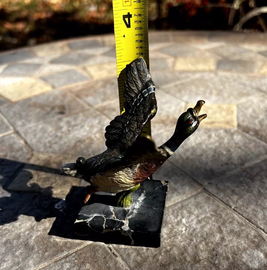 Antique Austrian Vienna Cold Painted Bronze Figure of Flying Duck11