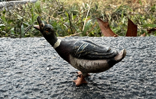 Cute Antique Austrian Vienna Cold Painted Bronze Figure of Small Mallard Duck1