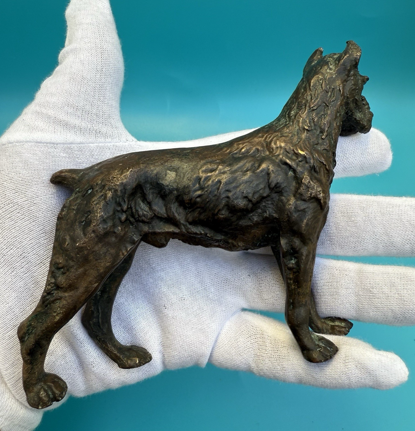 Antique 1900s Austrian Vienna Cold Painted Bronze Figure of Giant Schnauzer11