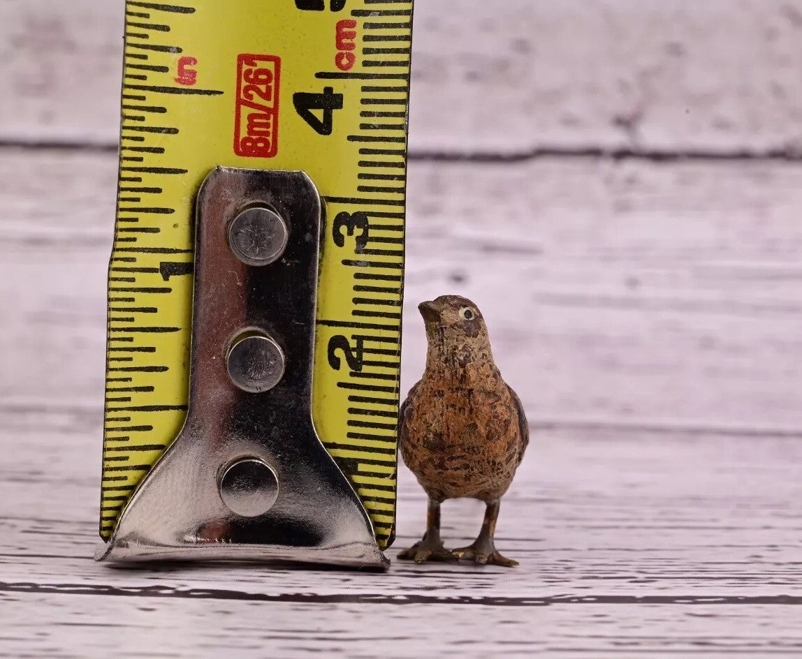 Amazing Antique Austrian Vienna Cold Painted Bronze Figure of Tiny Pheasant8