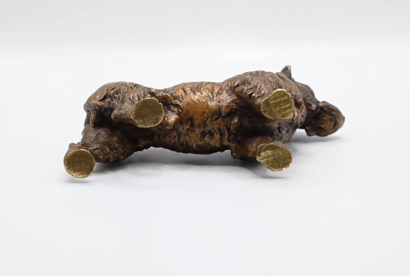 Wonderful Antique Bronze Figure Of Scottish Terrier Possibly German Or French5