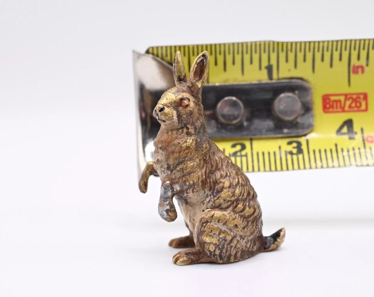 Original Realistic Antique Austrian Vienna Cold Painted Bronze of Rabbit5