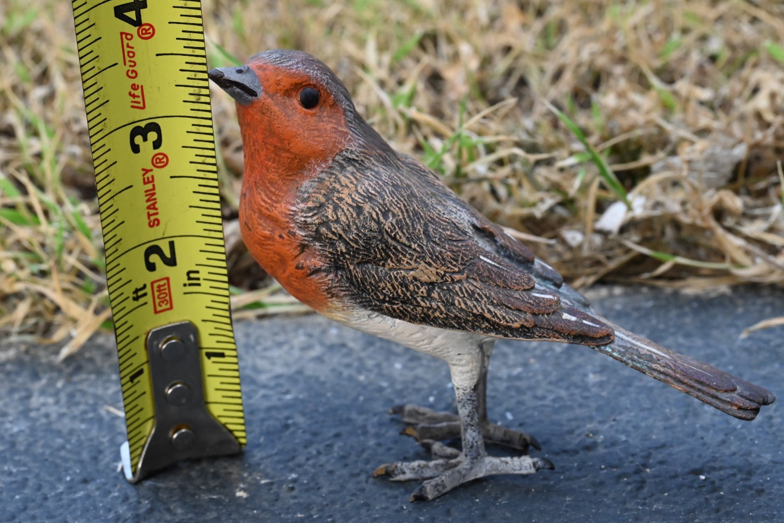 Lovely Austrian Vienna Cold Painted Bronze Bird Figure of European Robin0