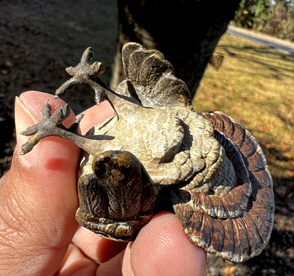 Beautiful  Antique Austrian Vienna Cold Painted Bronze Figure of Turkey11