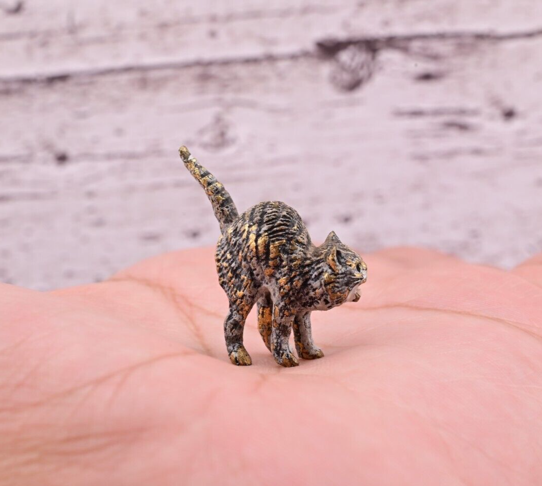 Life-Like Antique Austrian Vienna Cold Painted Bronze Figure of Scared Cat3