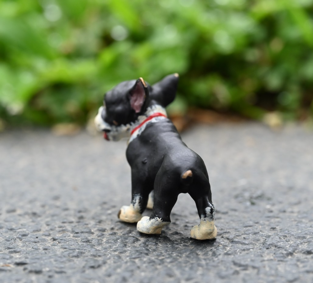 Fritz Bermann Austrian Vienna Cold Painted Bronze Figure of Boston Terrier Puppy2
