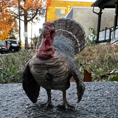 Beautiful  Antique Austrian Vienna Cold Painted Bronze Figure of Turkey7
