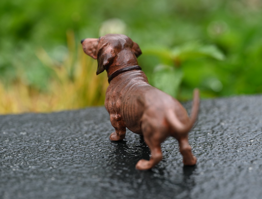 Lovely  Austrian Vienna Cold Painted Bronze Figure of Dachshund Dog 5 1/2 Inches1
