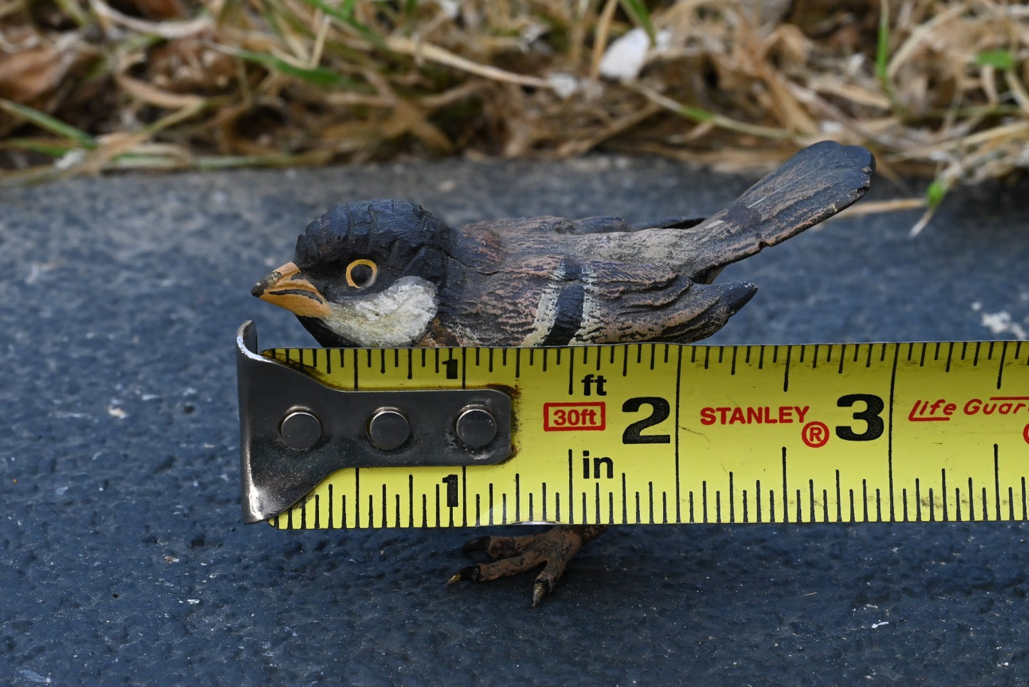 Life - Like Austrian Vienna Cold Painted Bronze Bird Figure of a Cape Sparrow8