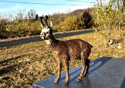 Stunning Antique Austrian Vienna Cold Painted Bronze Figure of Goat6