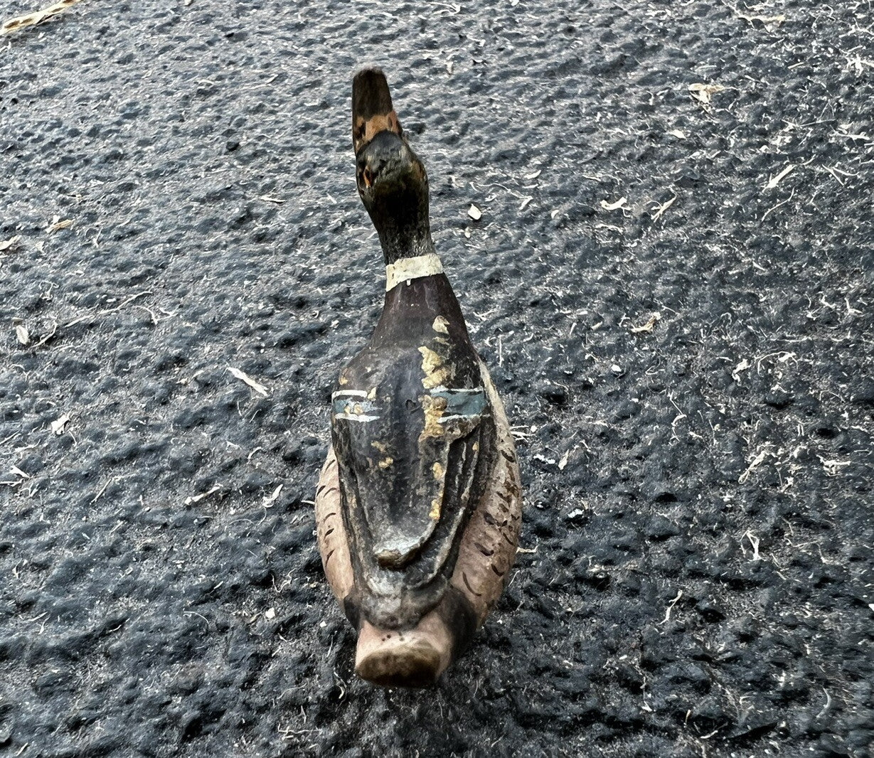 Cute Antique Austrian Vienna Cold Painted Bronze Figure of Small Mallard Duck2