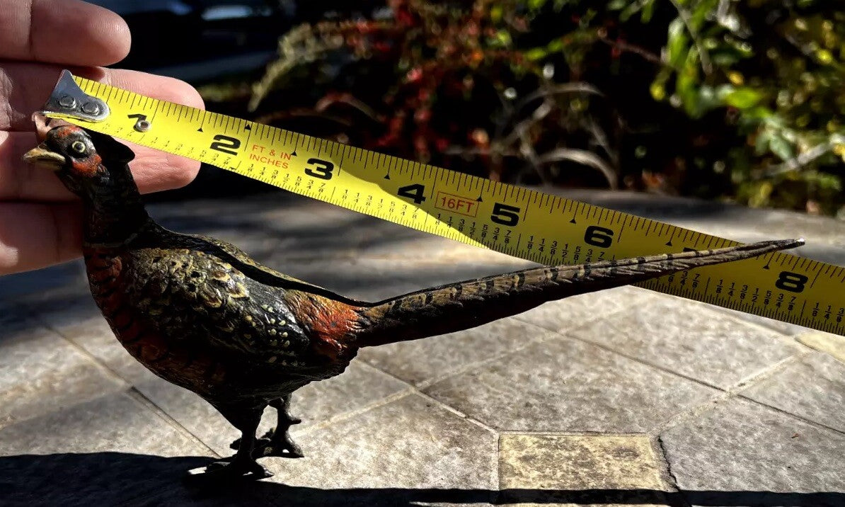 Gorgeous Large Antique Austrian Vienna Cold Painted Bronze Figure of Pheasant13