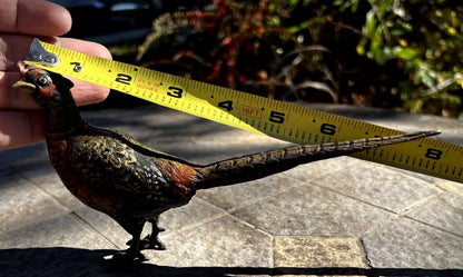 Gorgeous Large Antique Austrian Vienna Cold Painted Bronze Figure of Pheasant13