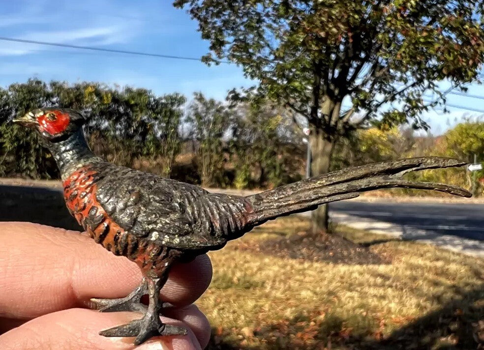 Antique Austrian Vienna Cold Painted Bronze Figure of Ring Neck Pheasant0