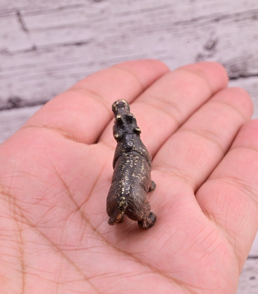 Life-Like Antique Austrian Vienna Cold Painted Bronze Figure of Hippopotamus1