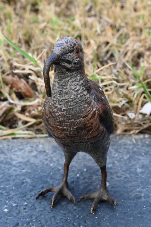 Amazing Austrian Vienna Cold Painted Bronze Figure of American Woodcock Bird1