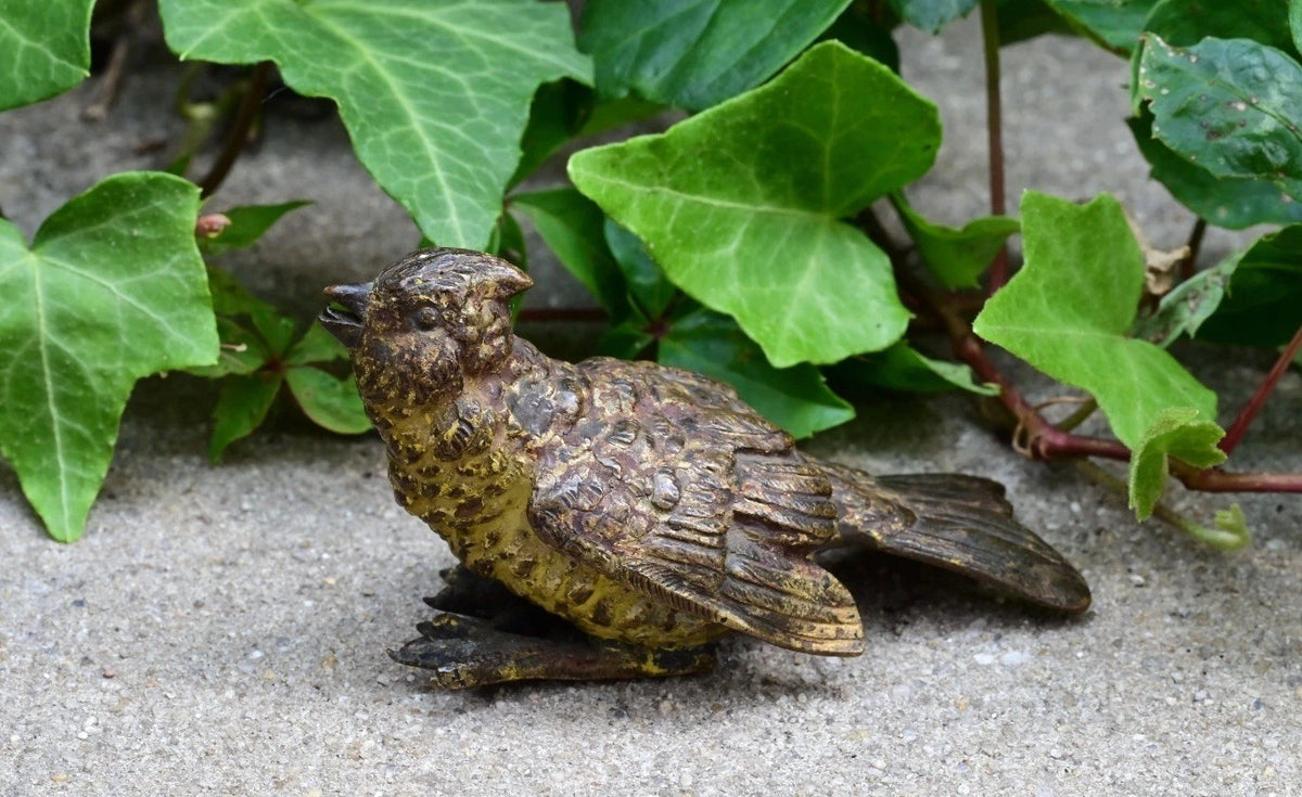 Antique 1900s Austrian Vienna Cold Painted Bronze Bird2