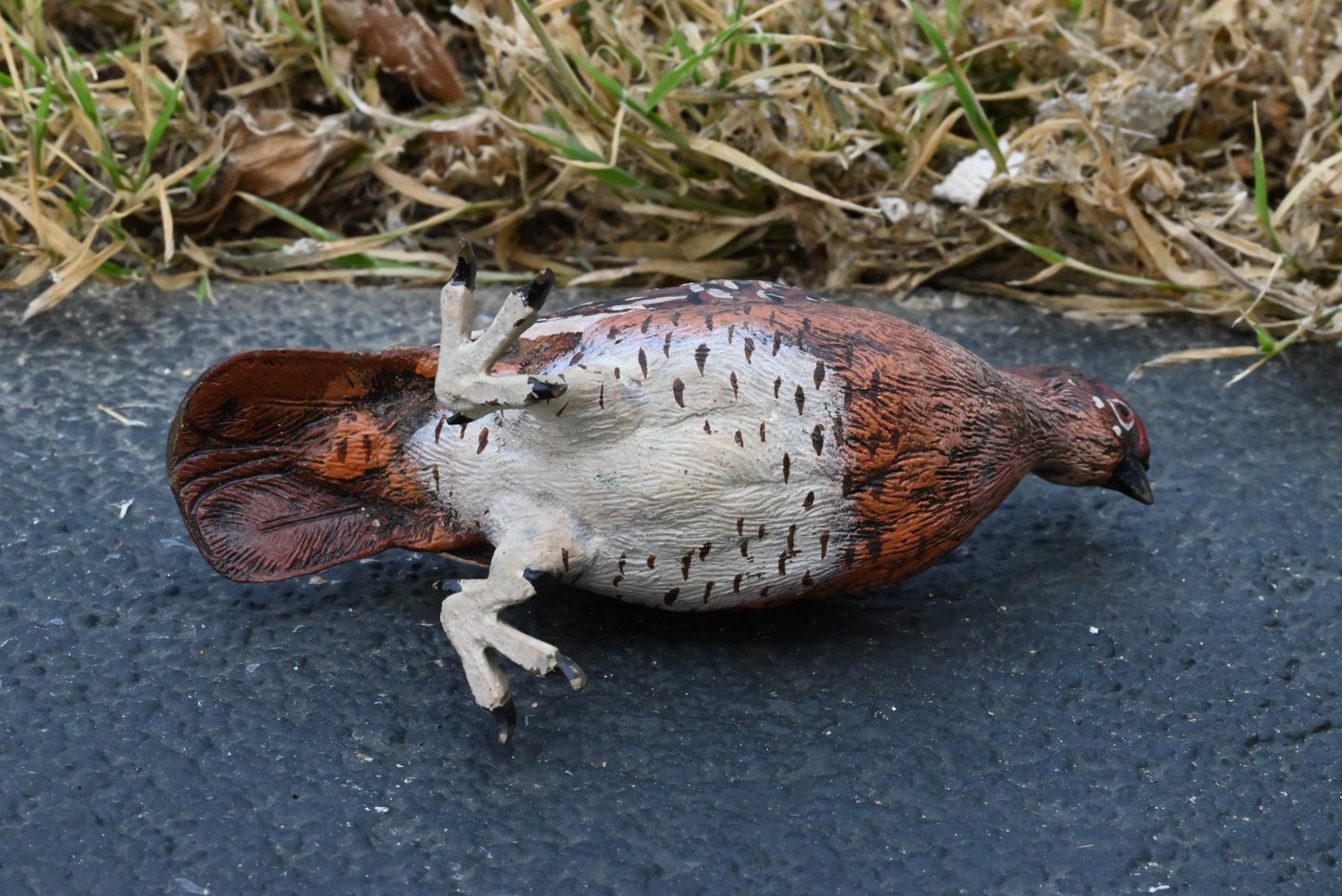 Beautiful Austrian Vienna Cold Painted Bronze Figure of  Partridge Game Bird9