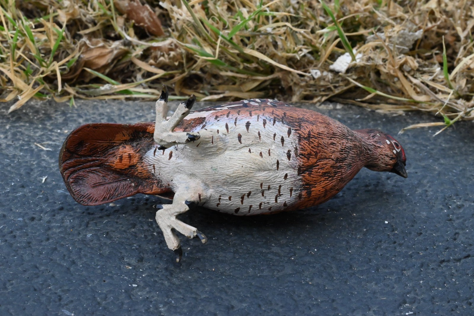 Beautiful Austrian Vienna Cold Painted Bronze Figure of  Partridge Game Bird9