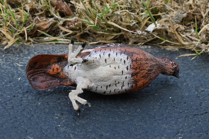 Beautiful Austrian Vienna Cold Painted Bronze Figure of  Partridge Game Bird9