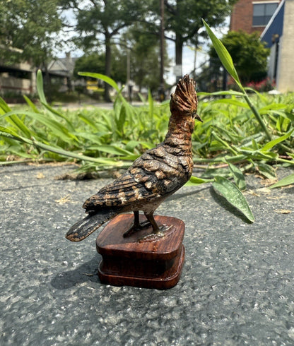 Rare Antique Austrian Vienna Cold Painted Bronze of Hoopoe Bird3