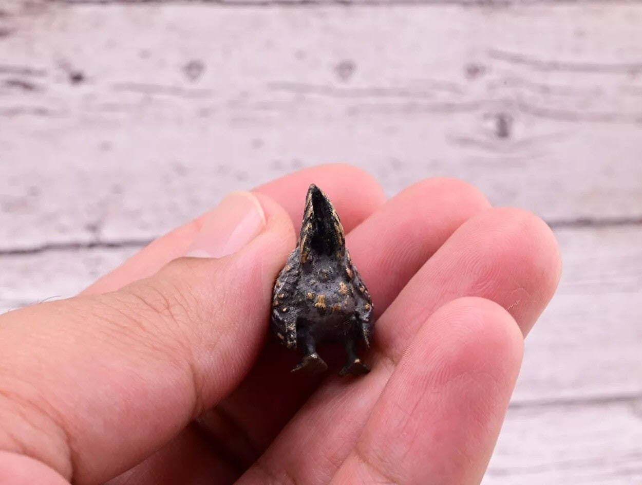 Awesome Antique Austrian Vienna Cold Painted Bronze Figure of Cute Small Chicken11