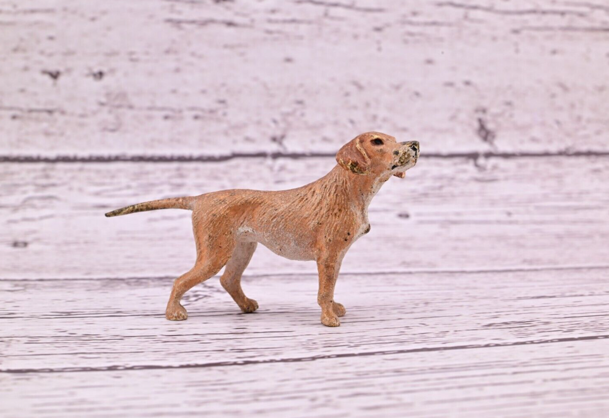 Antique 1900s Austrian Vienna Cold Painted Bronze Figure of Labrador Retriever0