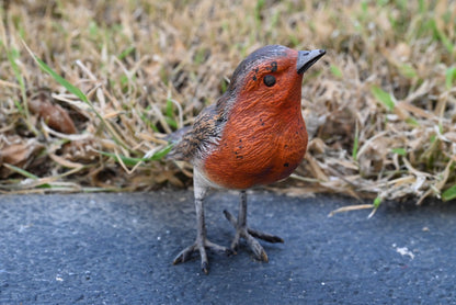 Lovely Austrian Vienna Cold Painted Bronze Bird Figure of European Robin2