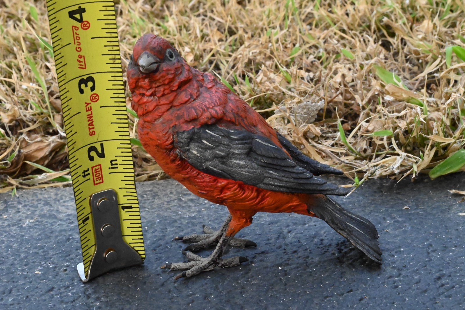 Austrian Vienna Cold Painted Bronze Figure of Pine Grosbeak or Red-Crested Finch8