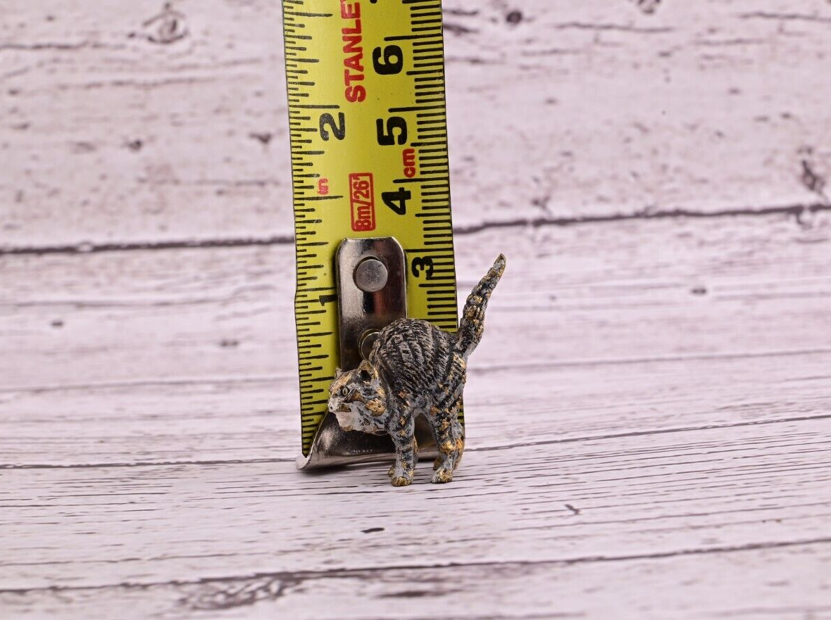 Life-Like Antique Austrian Vienna Cold Painted Bronze Figure of Scared Cat8