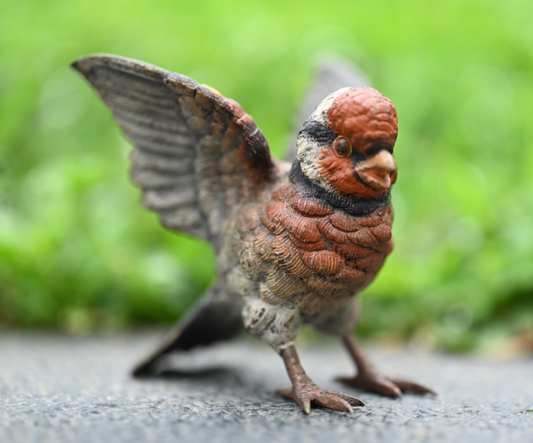 Amazing Life - Like Austrian Vienna Cold Painted Bronze Figure of Goldfinch Bird0