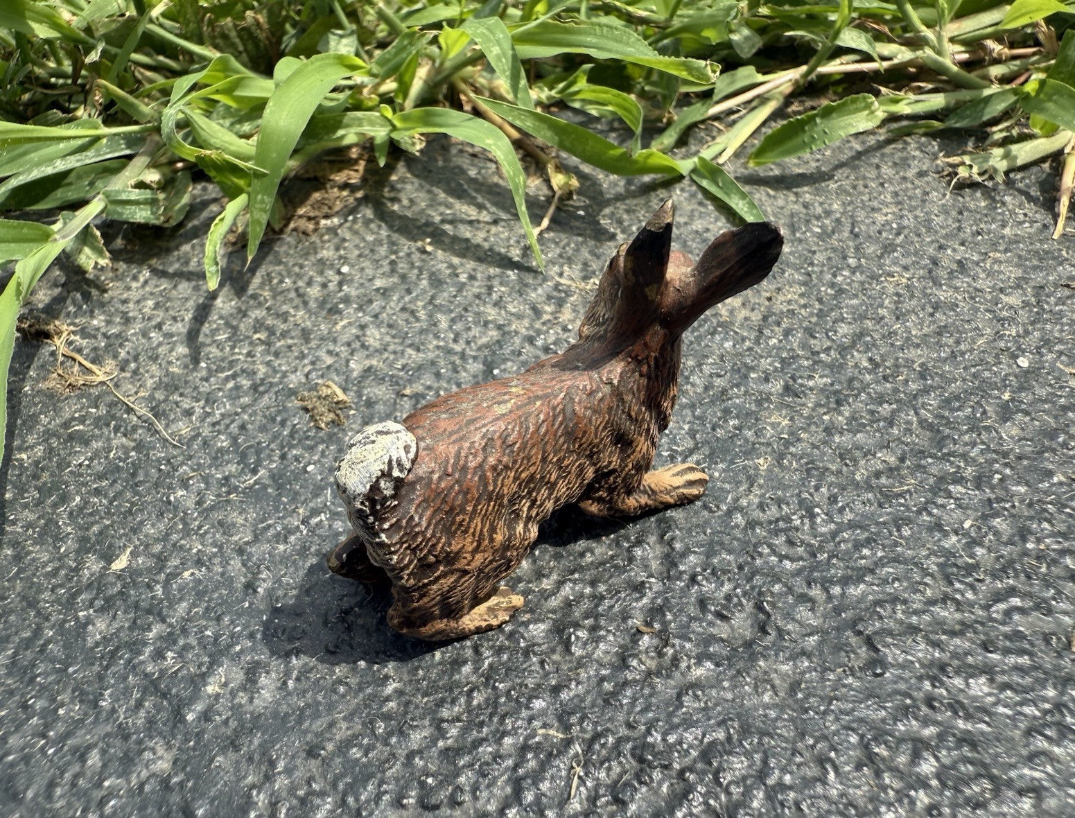 Life Like Antique Austrian Vienna Cold Painted Bronze of Brown Rabbit12