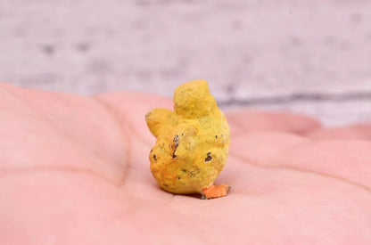 Cute Tiny Antique Austrian Vienna Cold Painted Bronze Figure of Yellow Chick3
