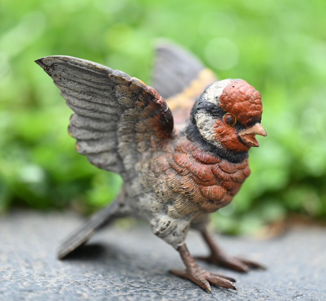 Amazing Life - Like Austrian Vienna Cold Painted Bronze Figure of Goldfinch Bird2