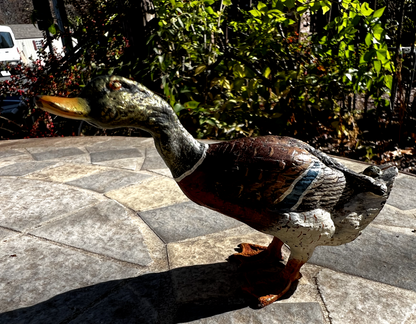 Gorgeous Antique Austrian Vienna Cold Painted Bronze Figure of Mallard Duck2