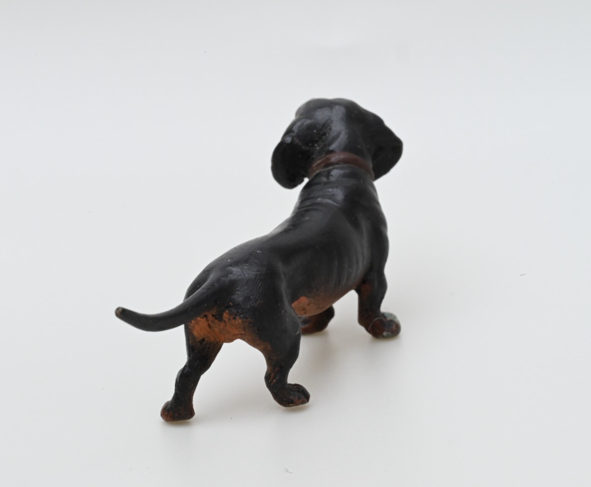 Gorgeous Antique Austrian Vienna Cold Painted Bronze Figure of Dachshund Dog4